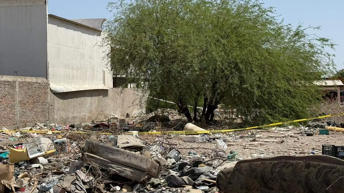 WhatsApp Image 2026-04-17 at 12.24.12 PM