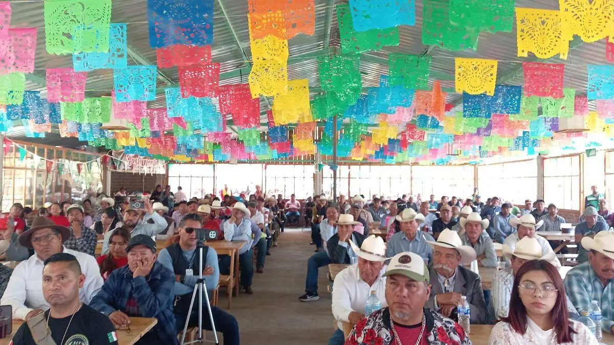 978c8b0f-59eb-427a-aef5-c028bae3363d