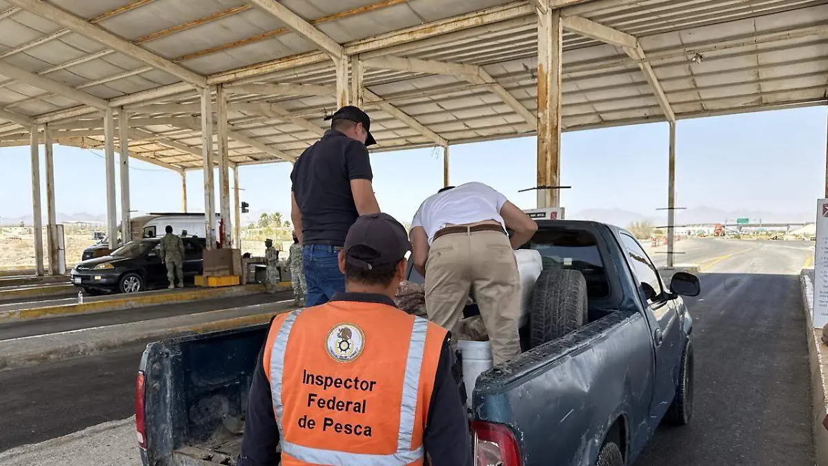 671736827_26706306948965673_6610830706608344951_n