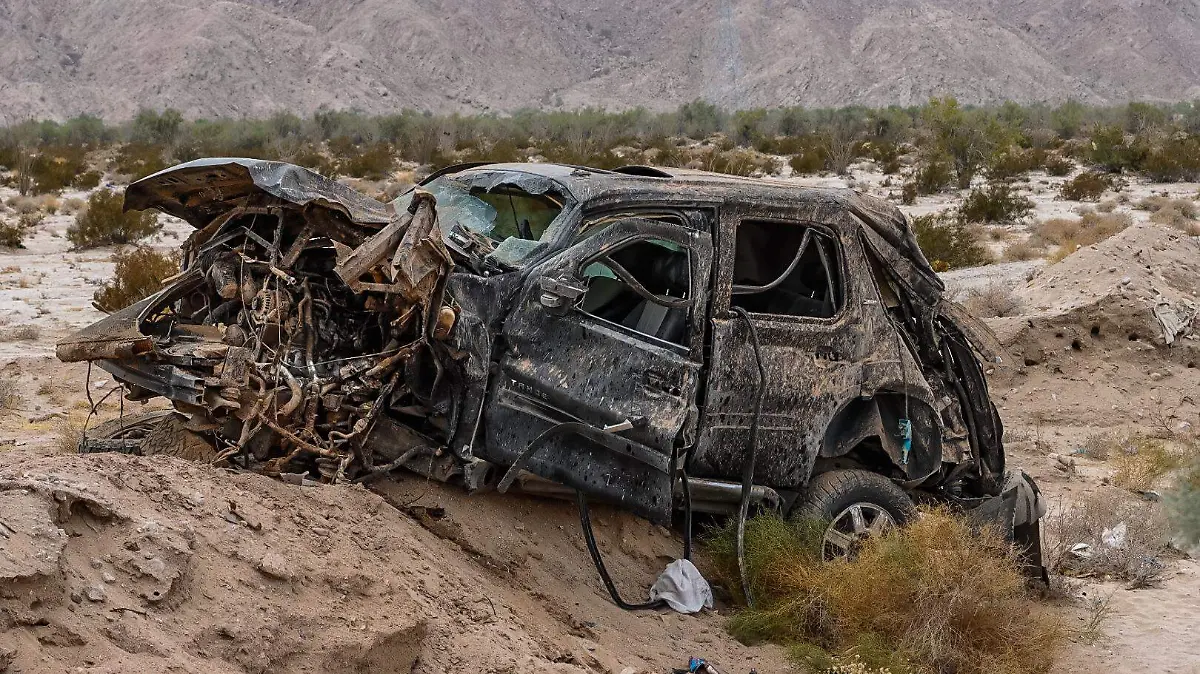 20230722113112__MG_6977