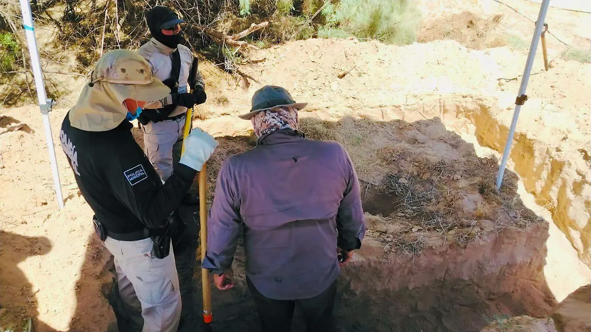 WhatsApp Image 2026-04-22 at 1.41.53 PM