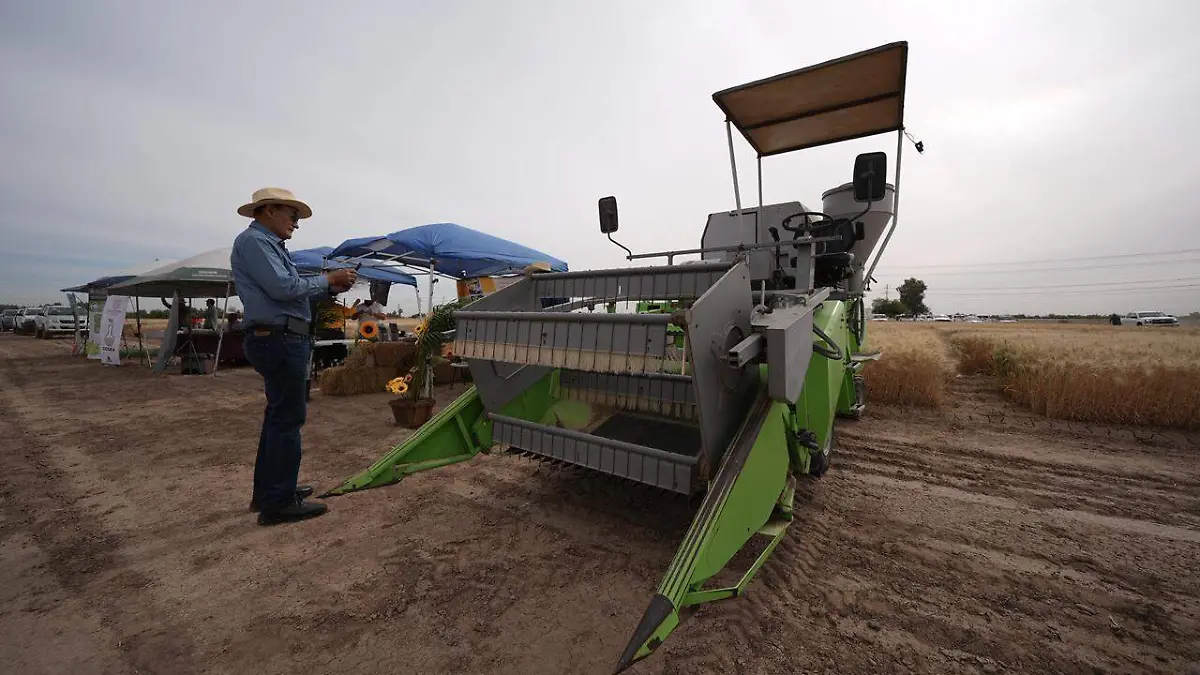 WhatsApp Image 2026-04-23 at 2.21.06 PM