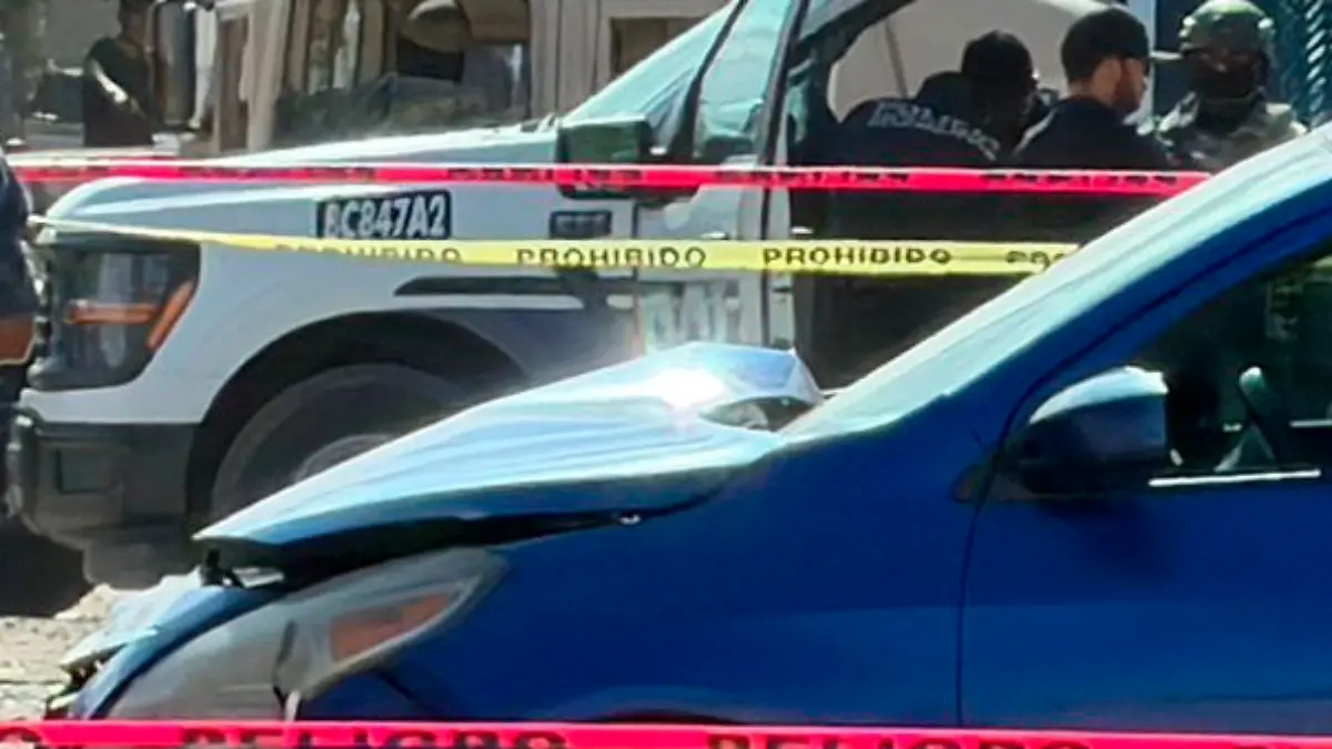 WhatsApp Image 2026-04-25 at 4.25.09 PM