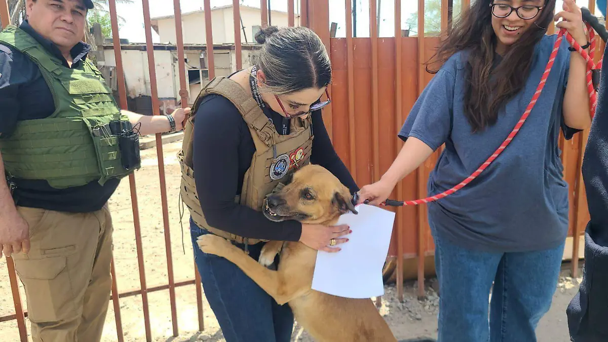 WhatsApp Image 2026-04-26 at 12.50.16 PM