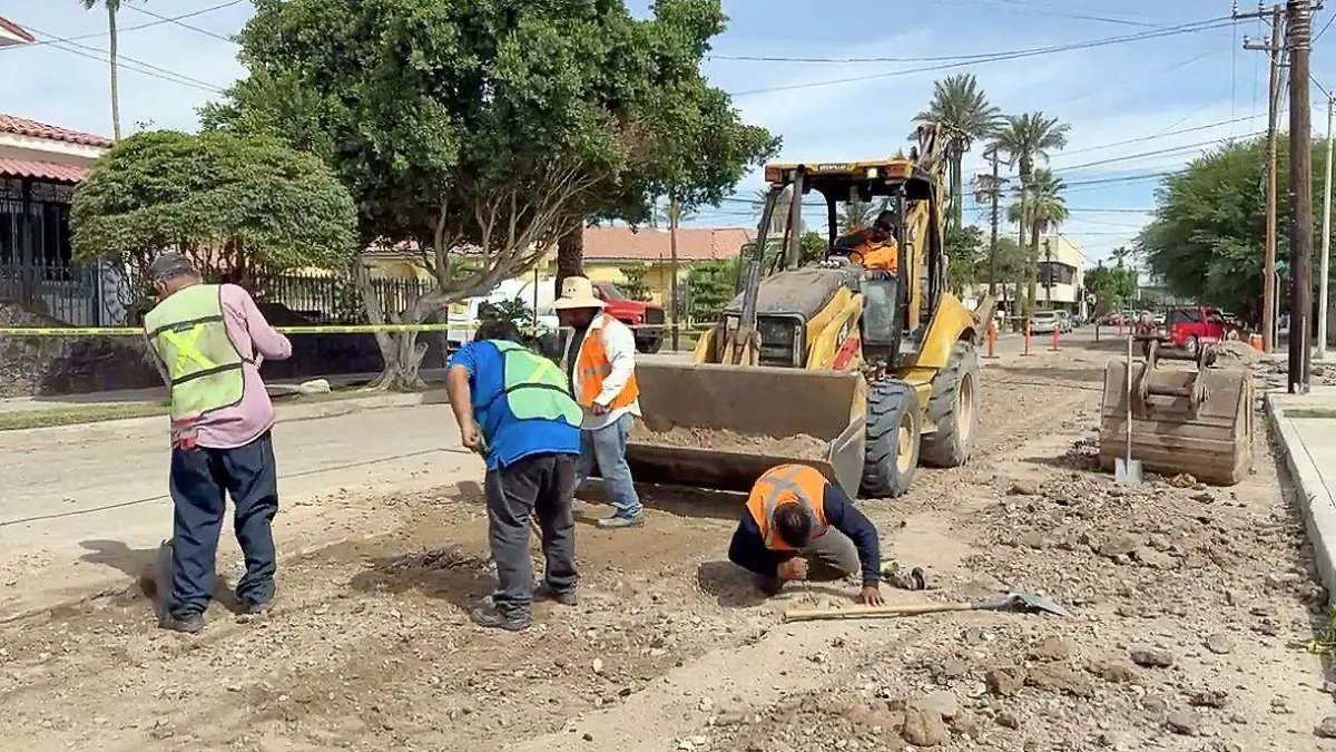 trabajos cespm 2