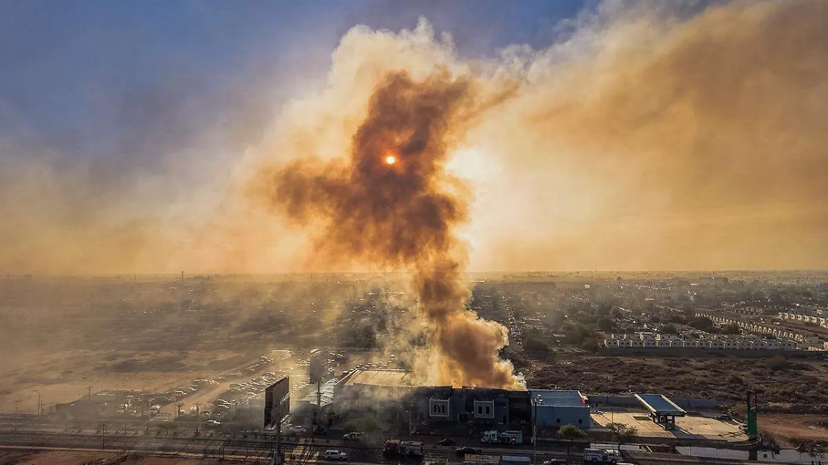 WhatsApp Image 2026-04-29 at 7.10.40 AM