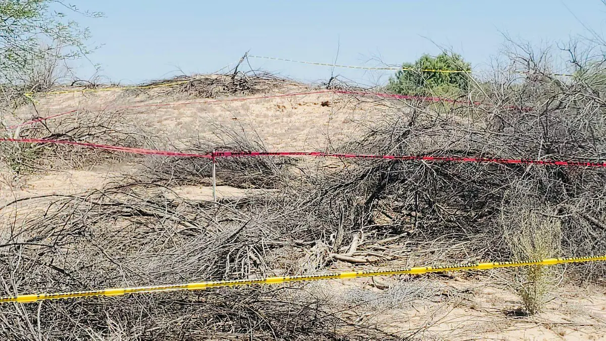 WhatsApp Image 2026-04-29 at 2.45.14 PM