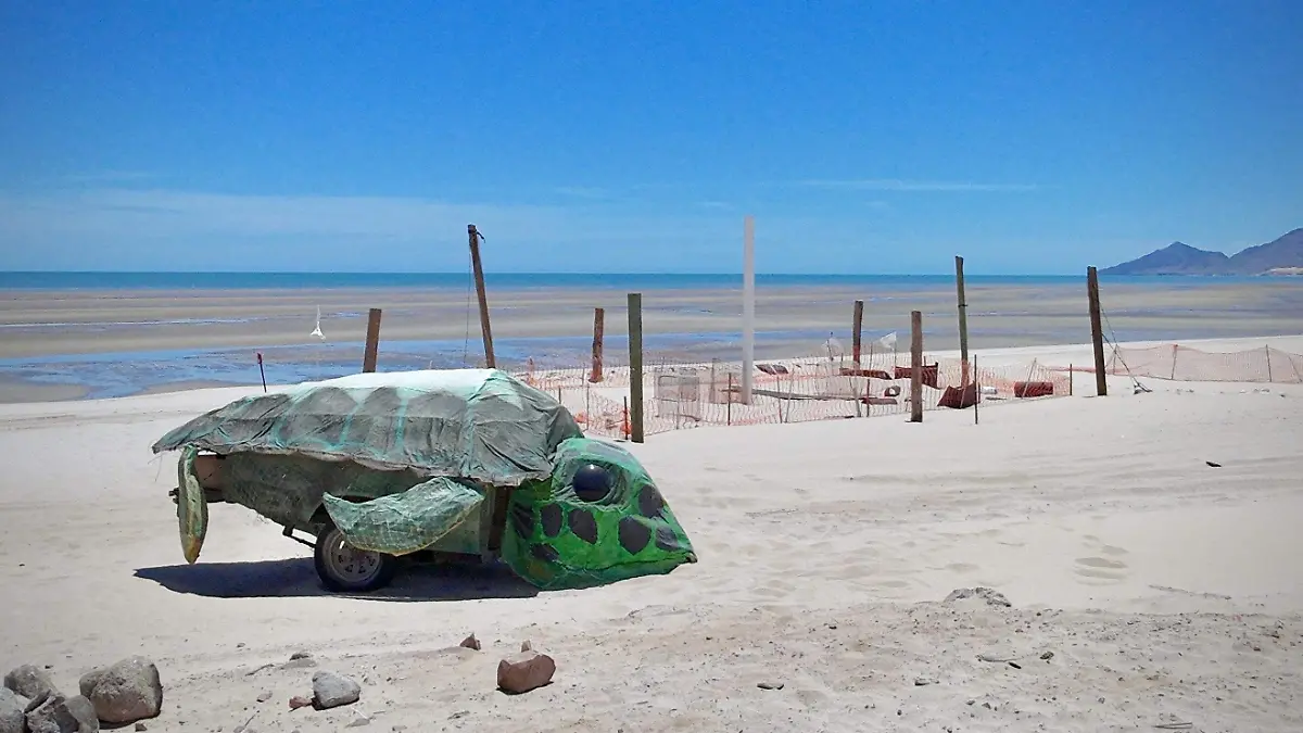 Campo tortuguero “El Tata Meza” (San Felipe)