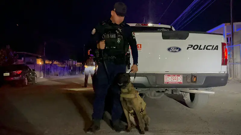 K-9 - Policía - Oficial 