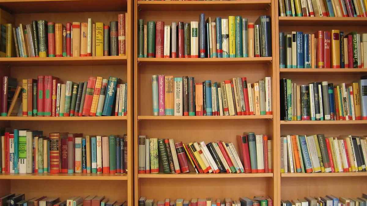 libros estante