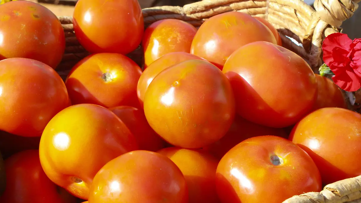 Nota tomate