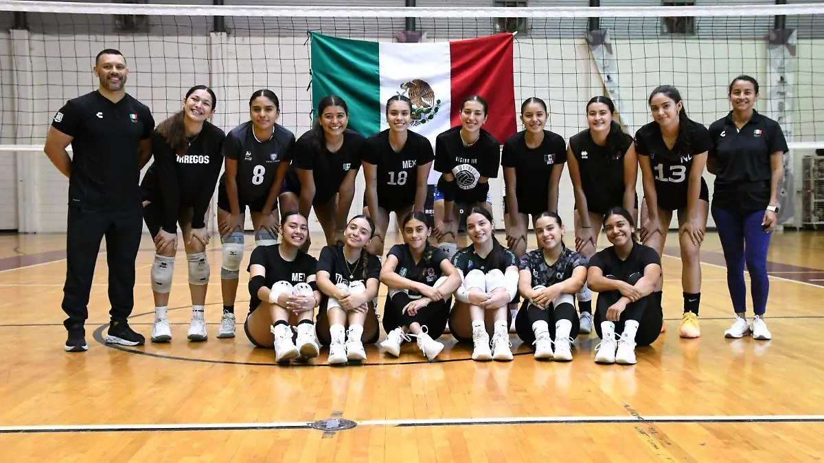 voleibol