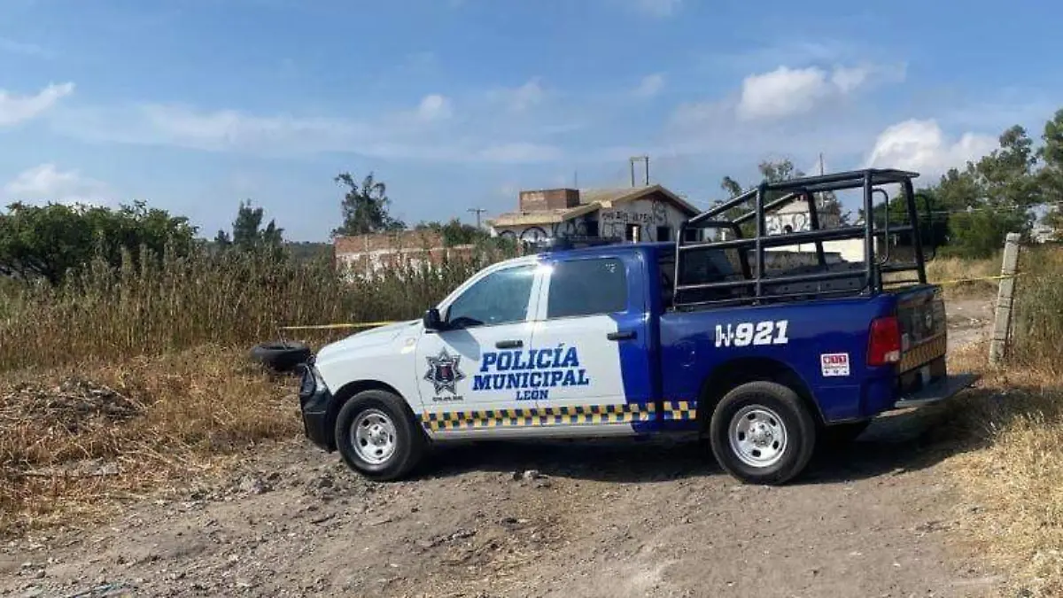 WhatsApp Image 2023-11-10 at 10.19.01 AM