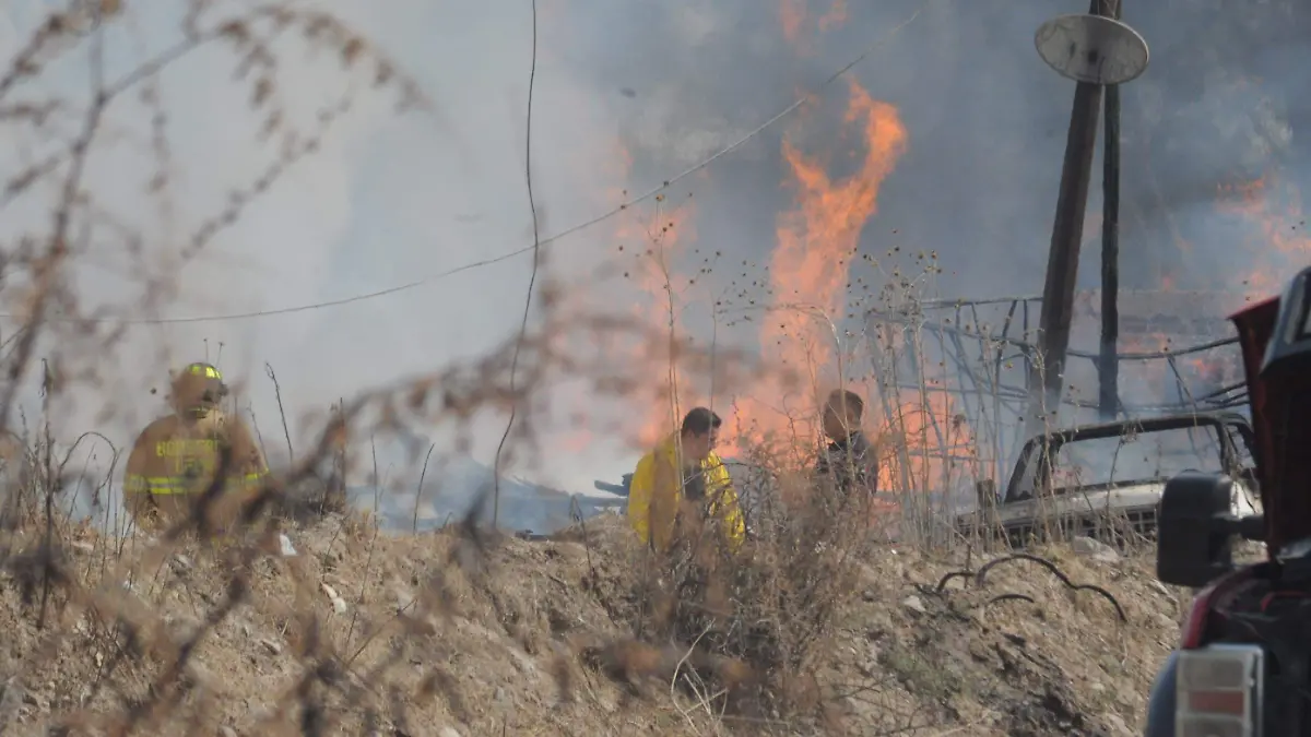 Image 2024-05-21 at 6.06.47 PM (3)