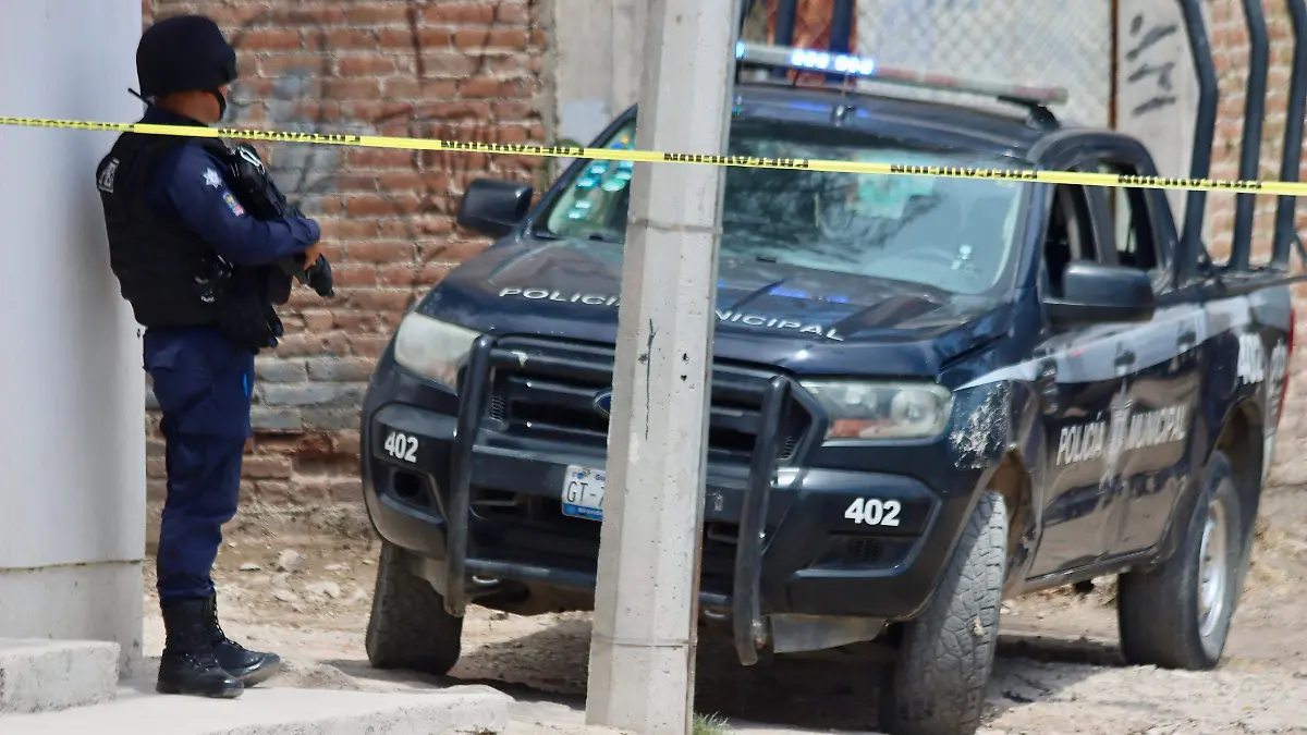 WhatsApp Image 2024-05-02 at 2.38.43 PM