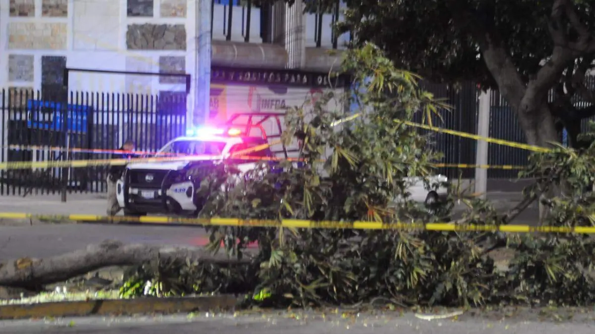 Imagen de WhatsApp 2024-01-24 a las 21.53.09_67ceb8ec