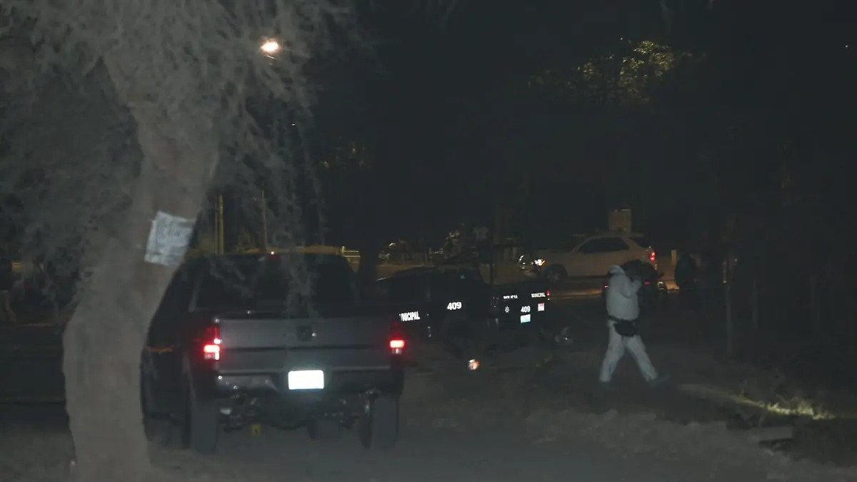 WhatsApp Image 2024-02-07 at 9.43.07 PM (1)