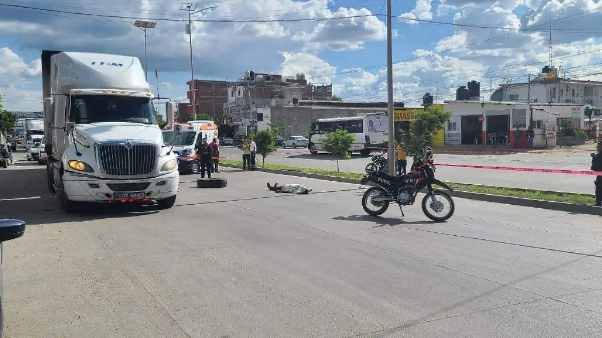 cortesía - ATROPELLADO SILAO 