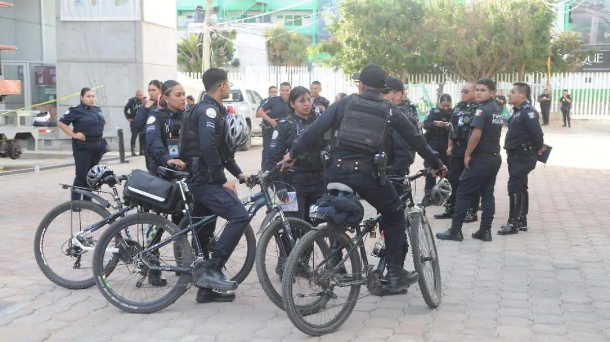 fotos_ Ricardo Sánchez - SEGURIDAD FERIA  (2)