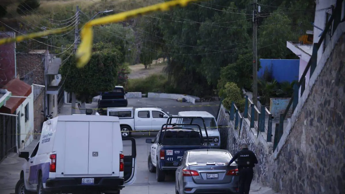 WhatsApp Image 2024-11-07 at 5.41.38 PM