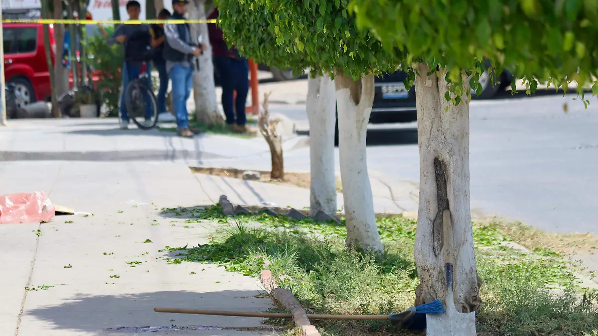 WhatsApp Image 2024-04-16 at 1.58.07 PM