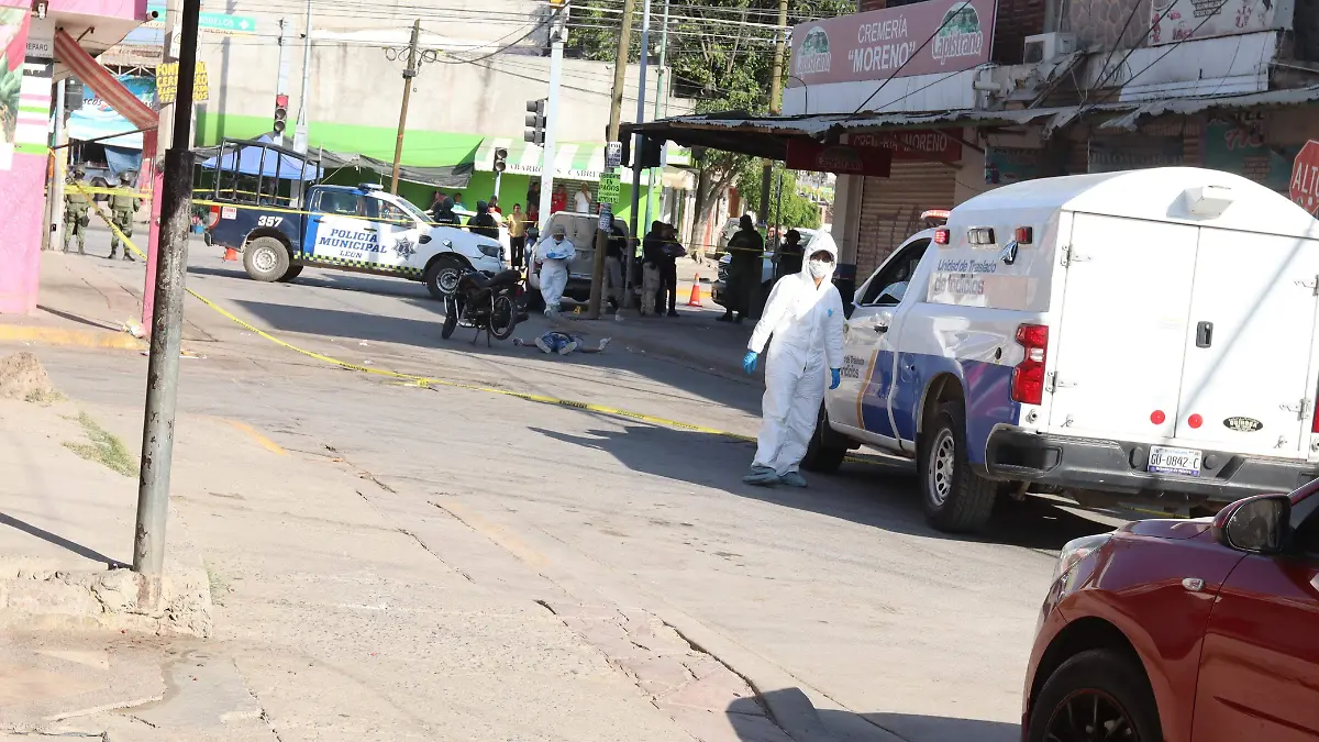 WhatsApp Image 2024-03-28 at 7.31.49 PM