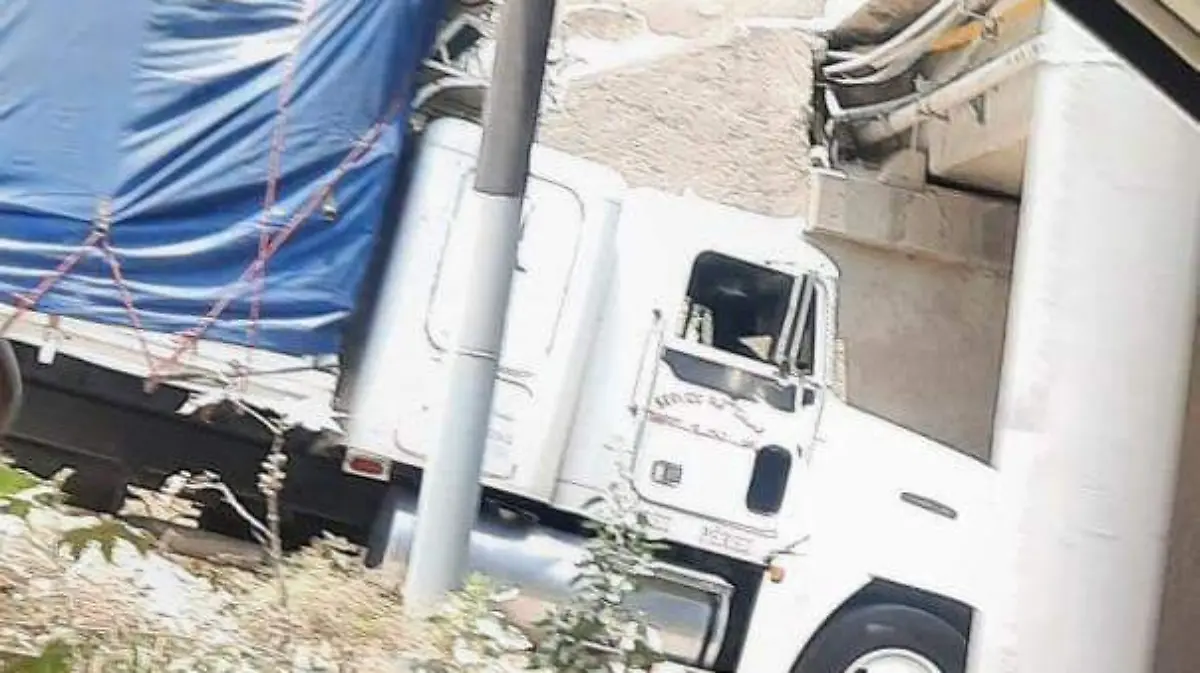 WhatsApp Image 2024-04-16 at 2.07.22 PM