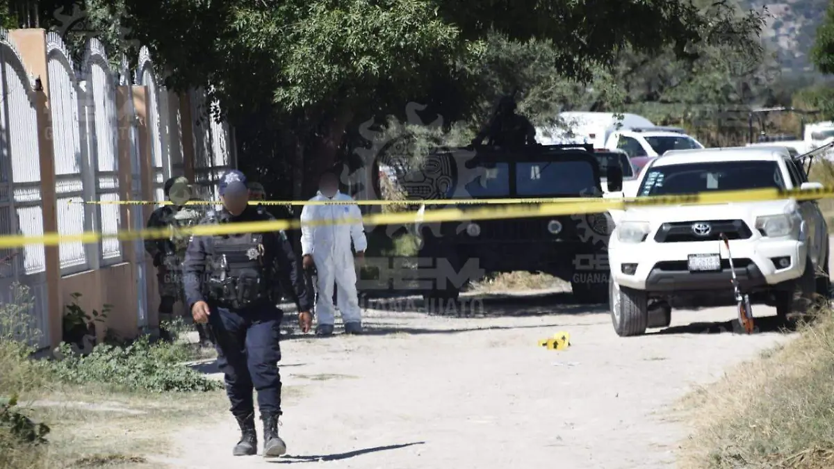 WhatsApp Image 2022-10-28 at 3.32.04 PM