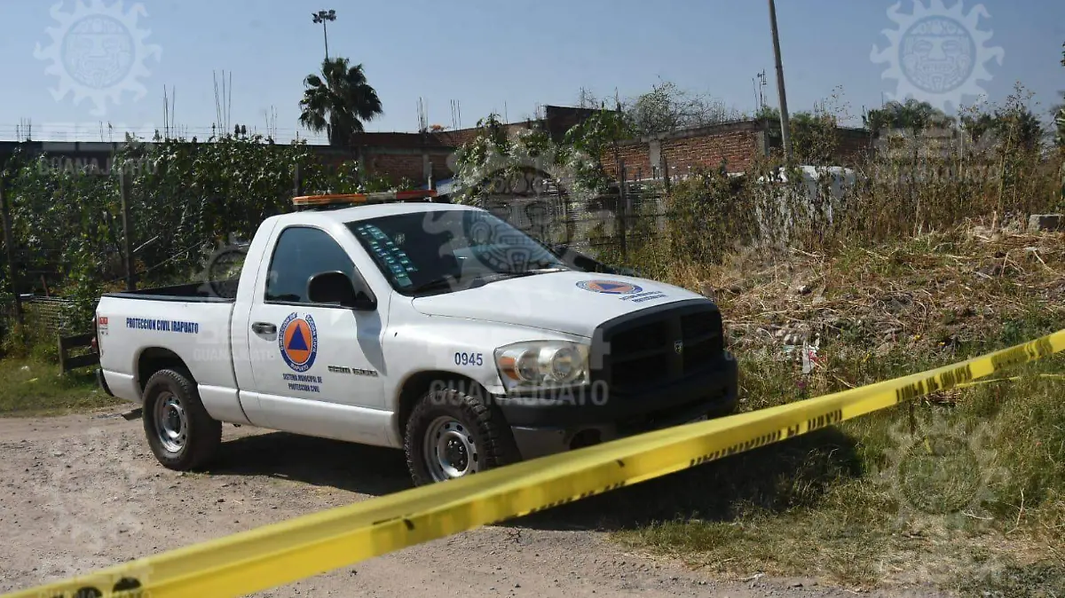 275f1d6f-ba06-4658-8723-2a031ab83515