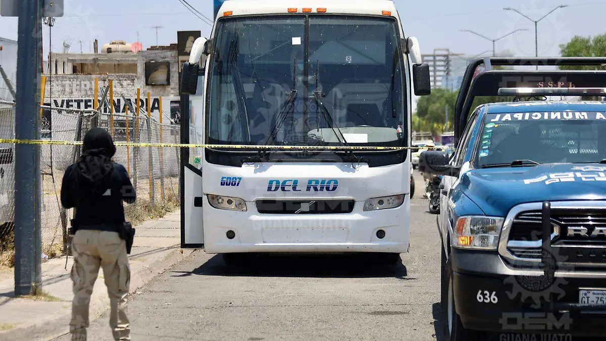 WhatsApp Image 2023-06-22 at 12.39.28 PM