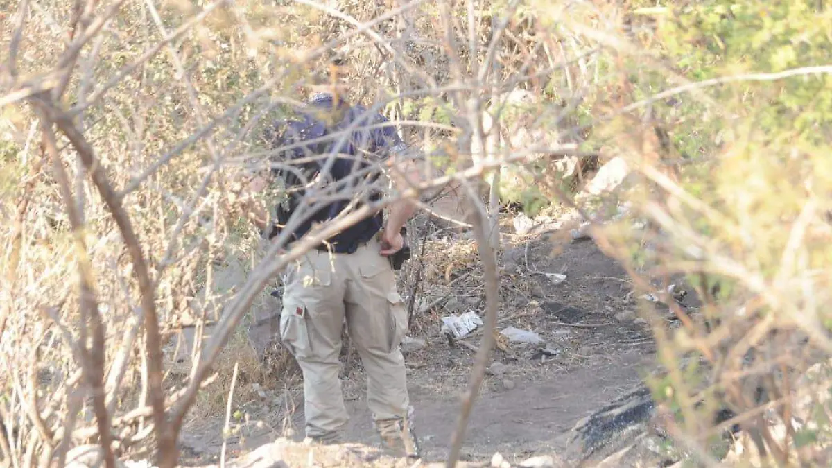 ILUSTRATIVA CABEZA SILAO (1)