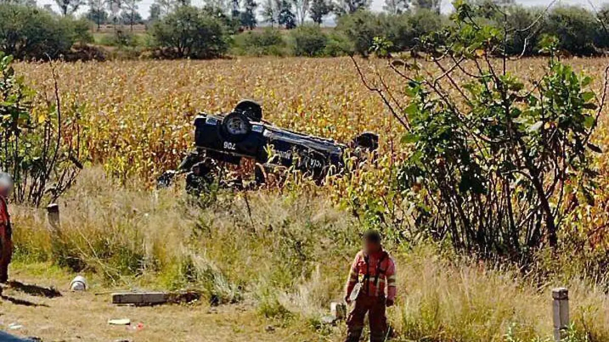 WhatsApp Image 2021-11-09 at 12.17.17 PM