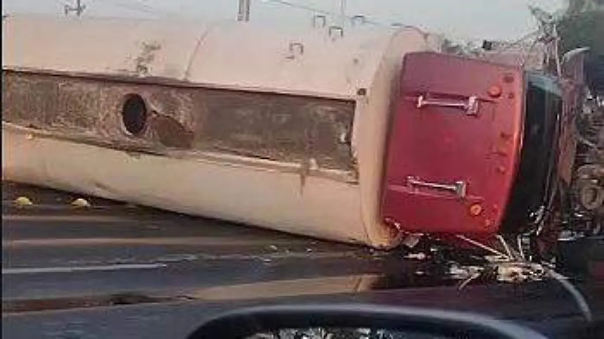 Captura de pantalla_Video Cortesía - PIPA 1