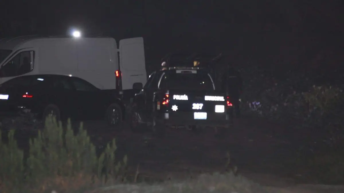 PEDREGOSO_ ILUSTRATIVA