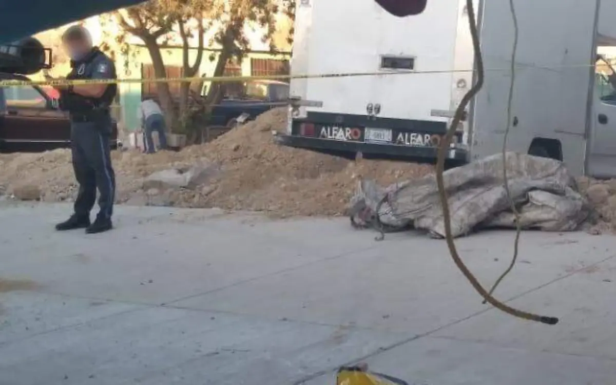 WhatsApp Image 2022-03-21 at 3.19.38 PM