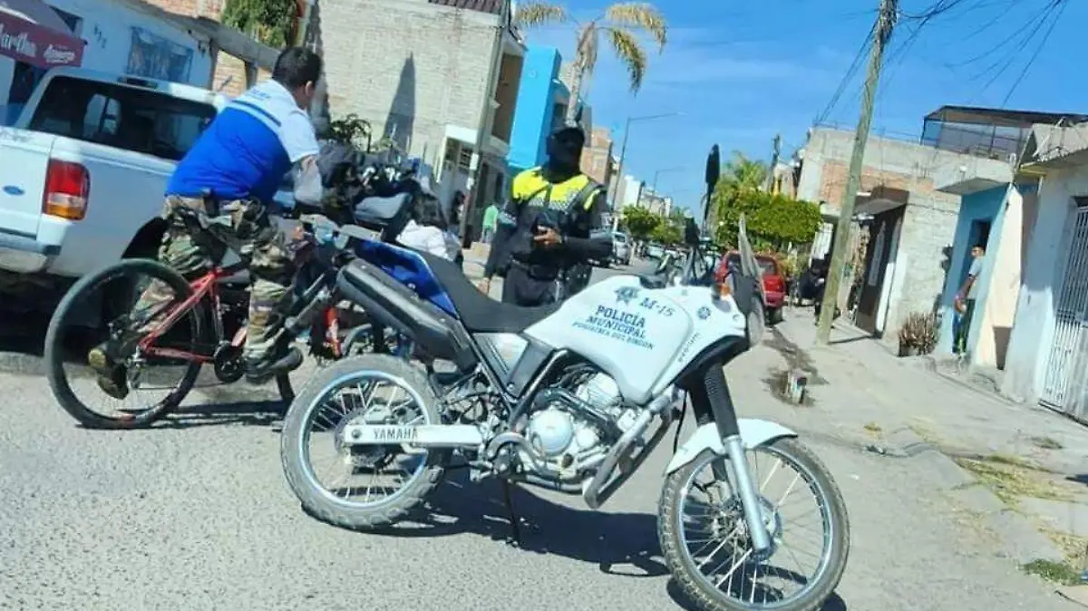 WhatsApp Image 2023-01-27 at 3.00.50 PM