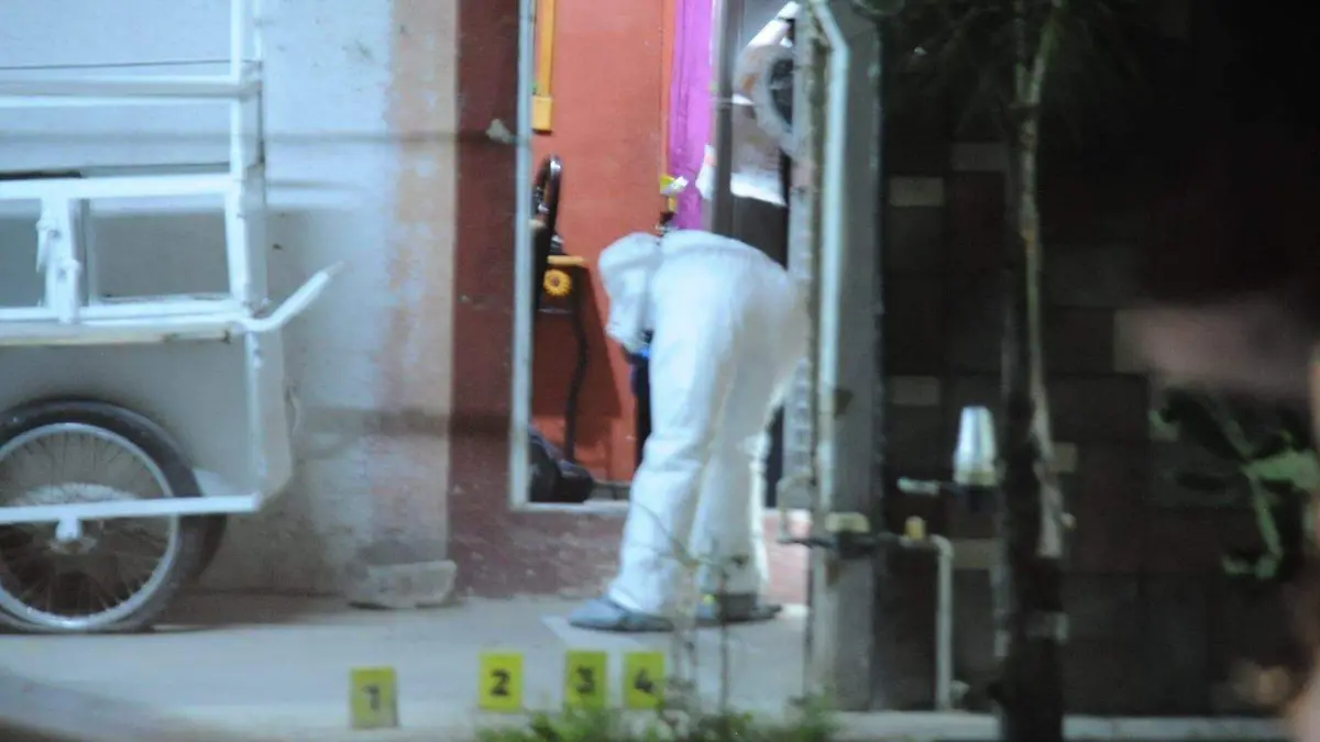 VALLE DE LOS GIRASOLES