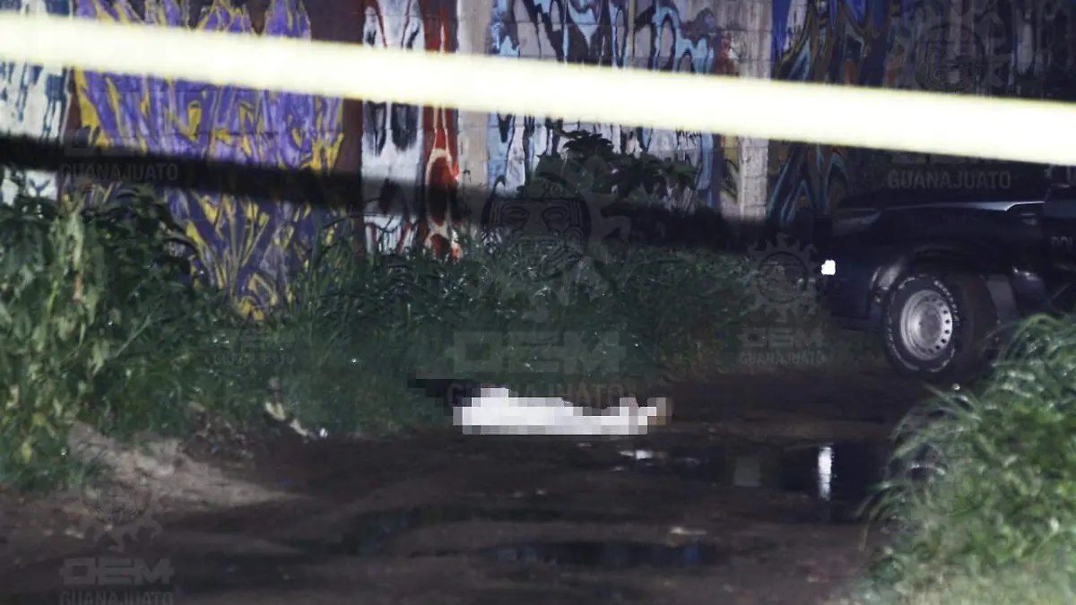 WhatsApp Image 2021-08-05 at 2.10.55 AM