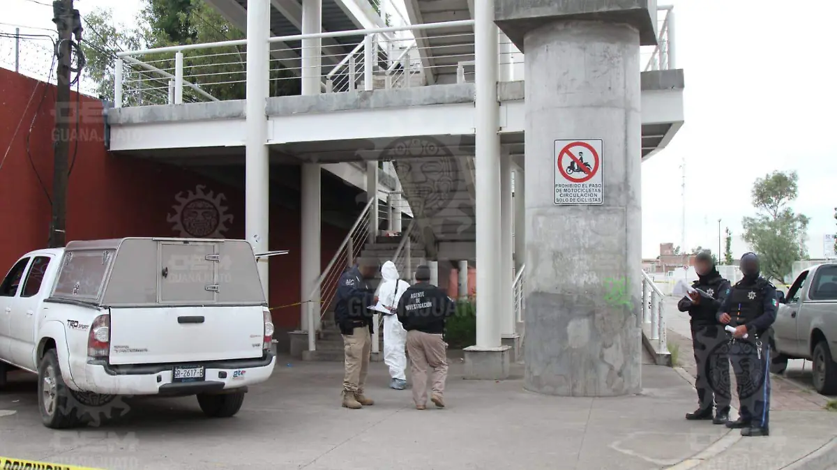 WhatsApp Image 2021-09-01 at 8.18.39 AM