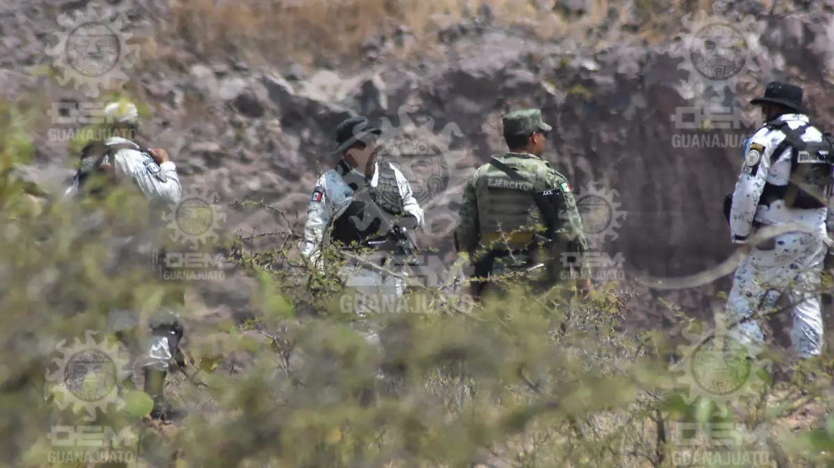 Localizan-cadaveres (1)