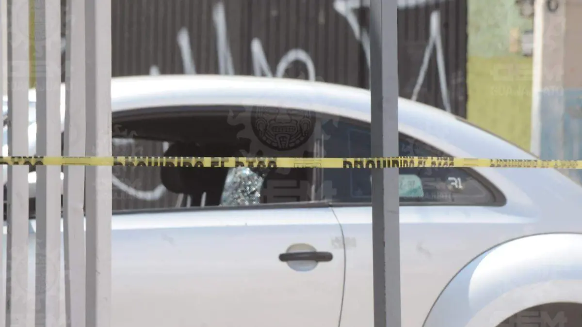 WhatsApp Image 2021-08-12 at 3.43.21 PM