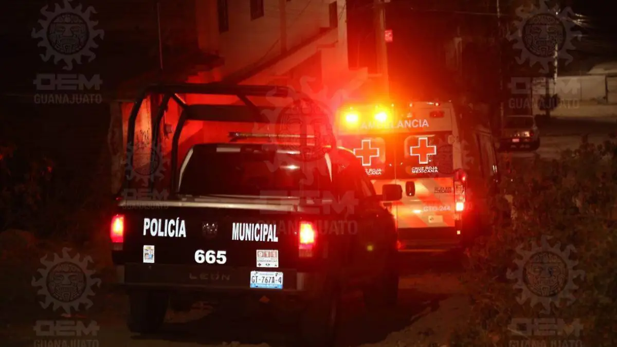 WhatsApp Image 2023-01-29 at 3.58.22 AM