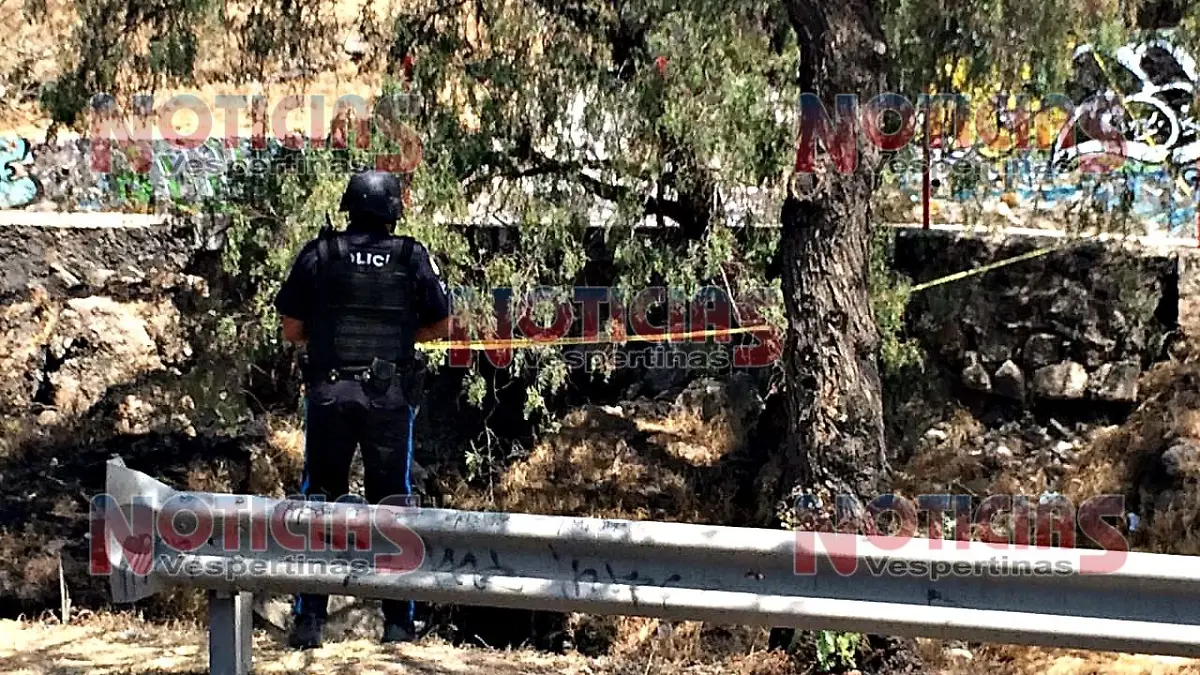 WhatsApp Image 2017-03-03 at 2.04