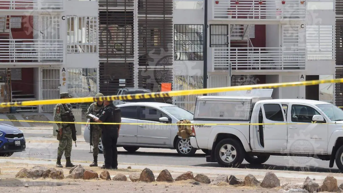 WhatsApp Image 2023-05-03 at 3.20.06 PM