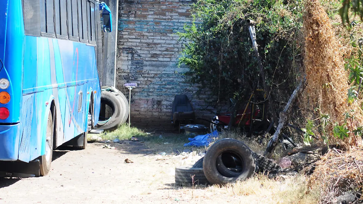 sol de leon canes (5)