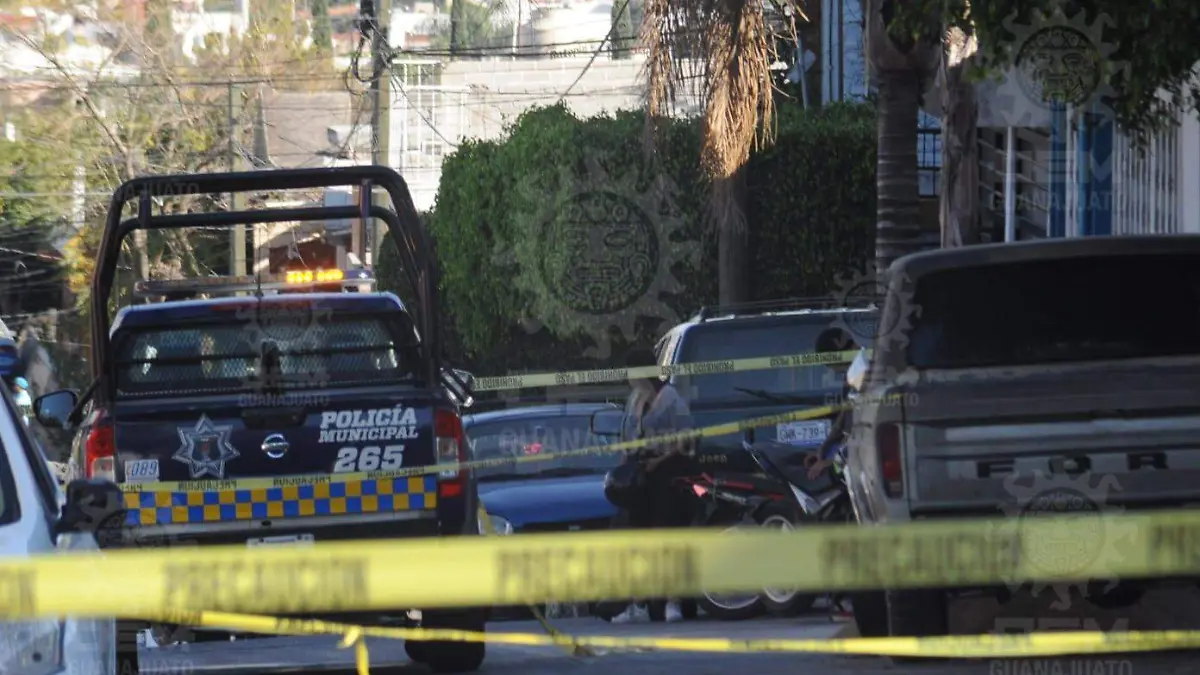 WhatsApp Image 2023-02-02 at 4.37.15 PM