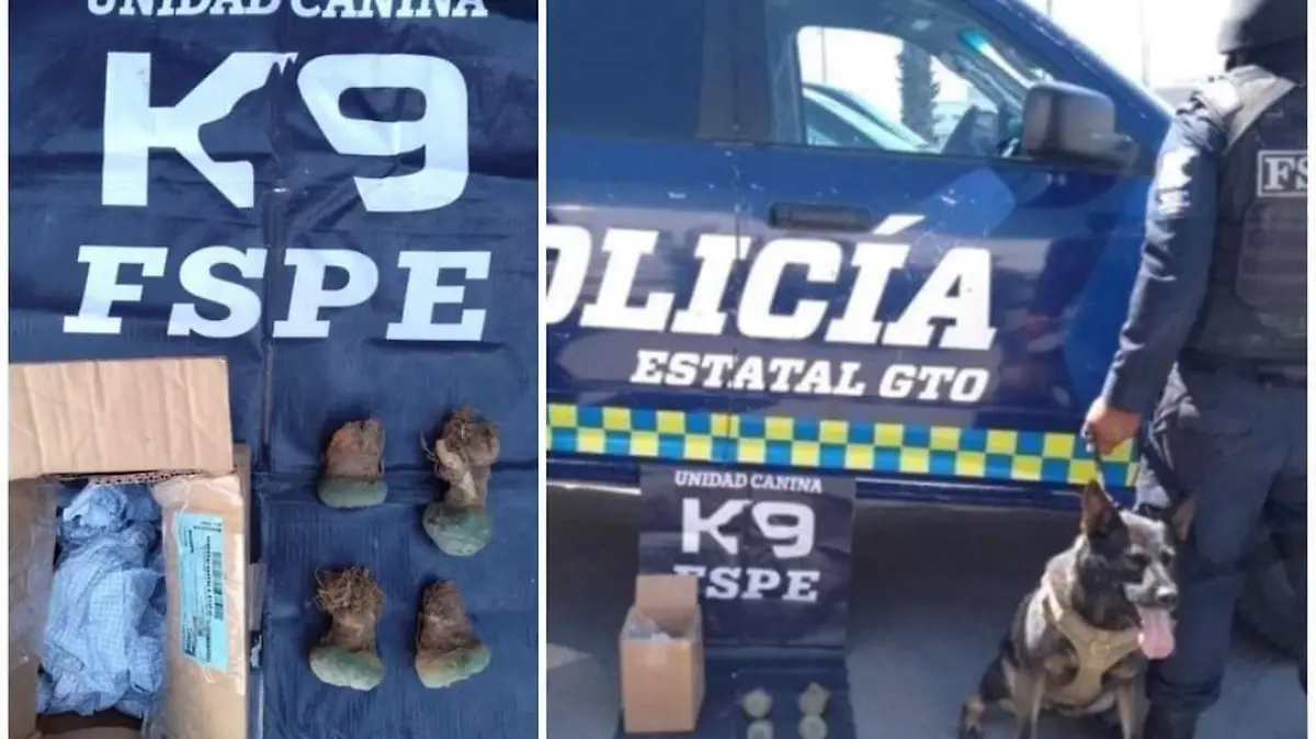 WhatsApp Image 2022-10-31 at 9.59.01 AM