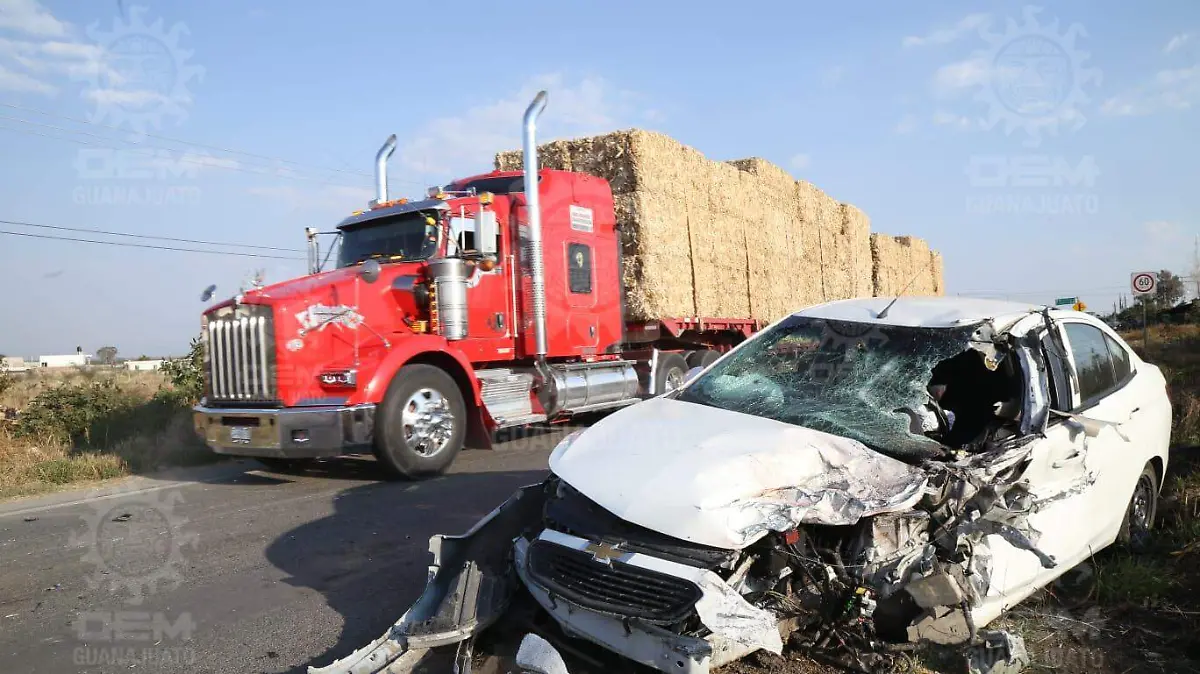 WhatsApp Image 2022-12-10 at 16.53.35