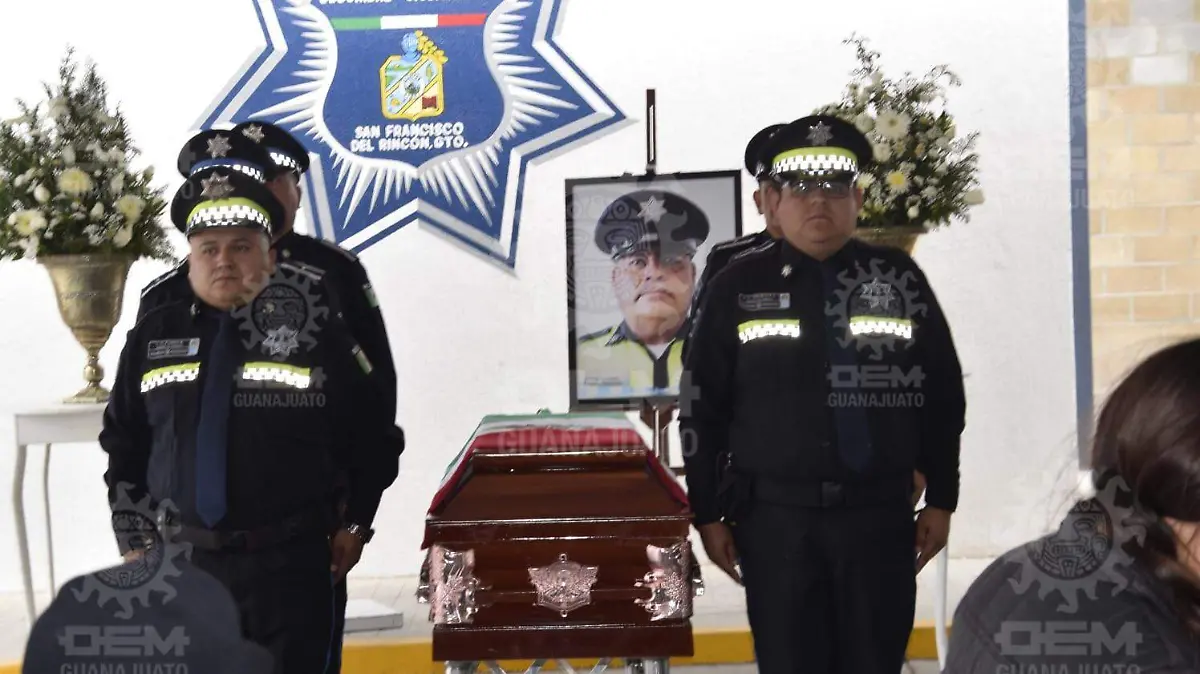 WhatsApp Image 2023-02-08 at 1.22.46 PM