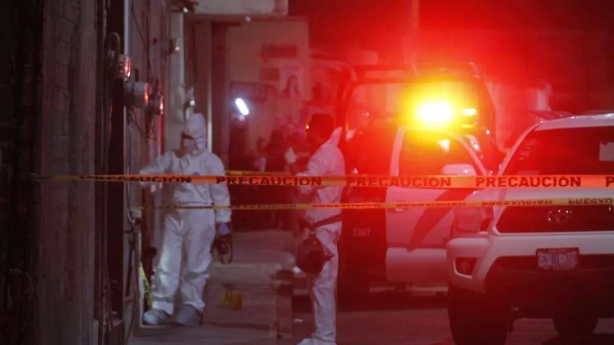 WhatsApp Image 2022-11-18 at 22.59.02